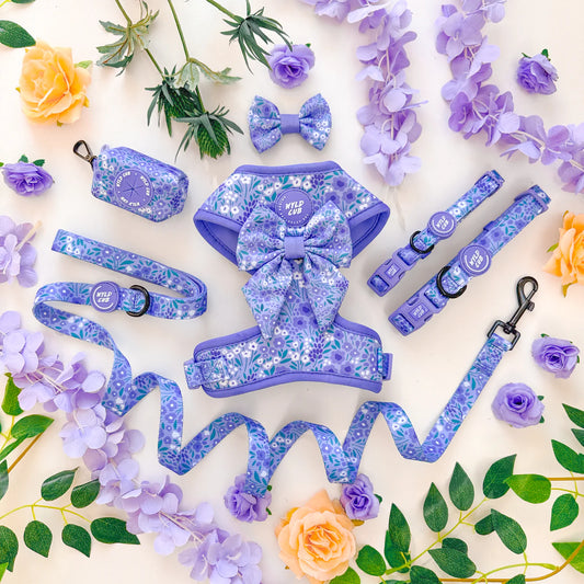 Notting Hill - Wisteria collar