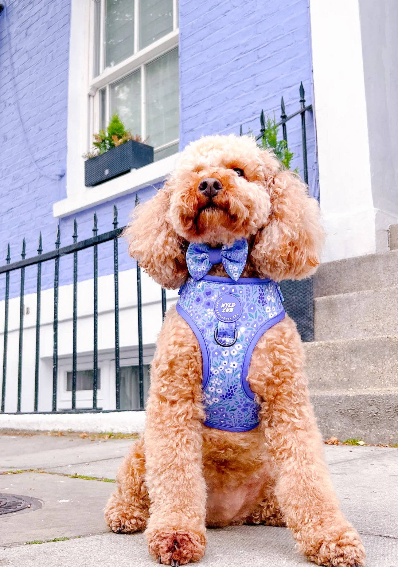Notting Hill - Wisteria bow tie