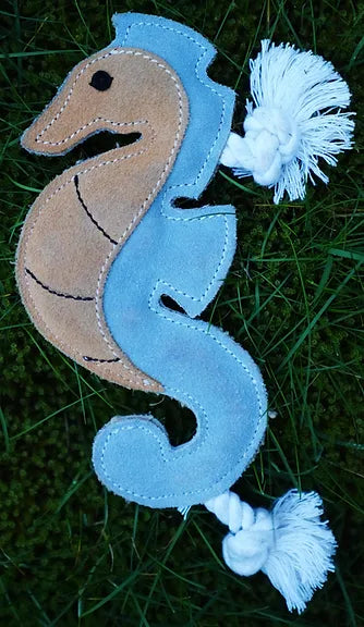 Shelly the sea horse