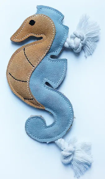 Shelly the sea horse