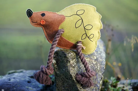 Holly the hedgehog