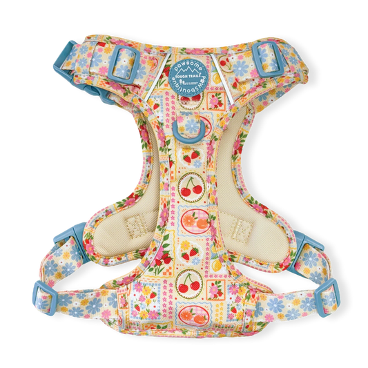 Summer Vacay harness