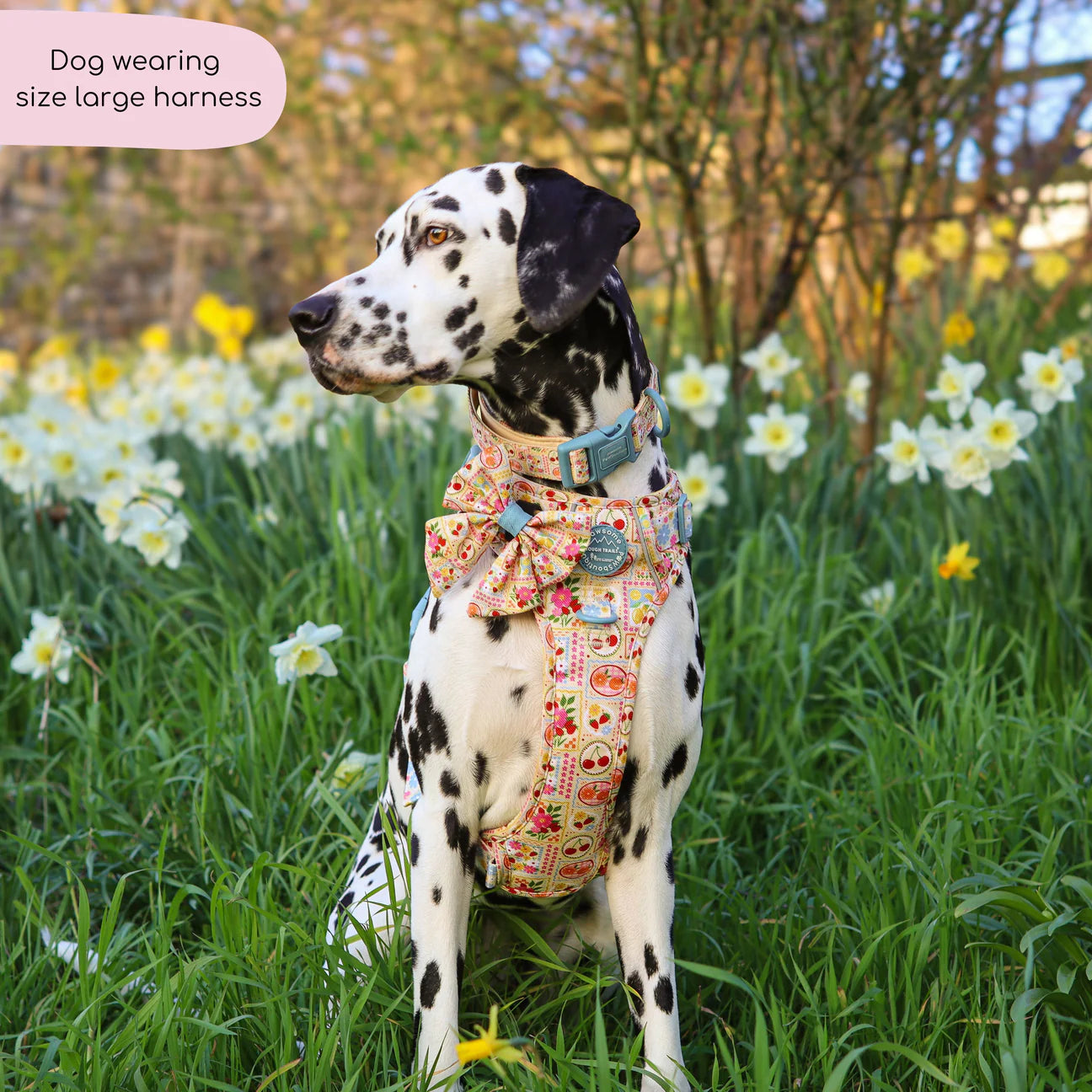 Summer Vacay harness
