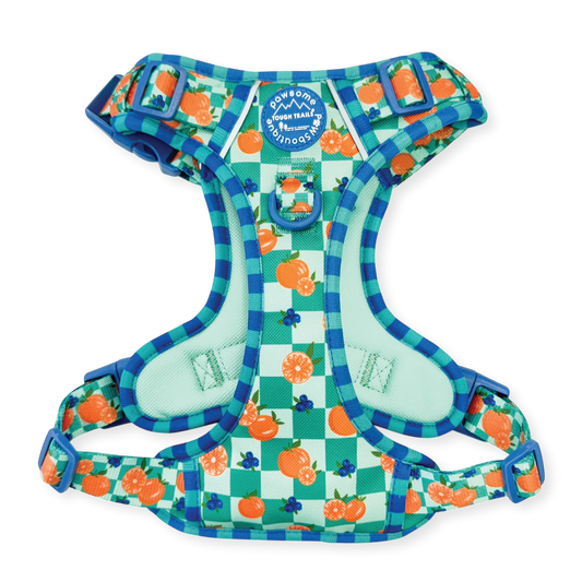 Fruit Punch harness