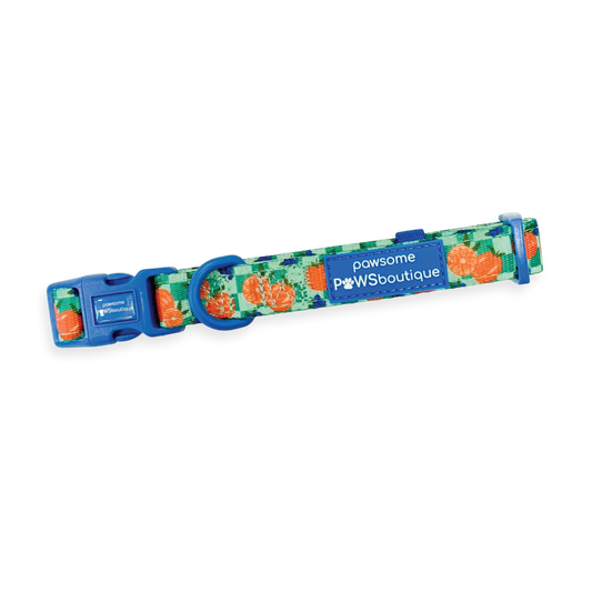 Fruit Punch collar