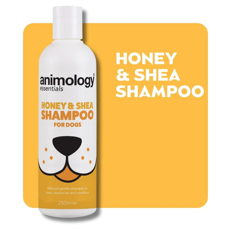 Honey and Shea shampoo
