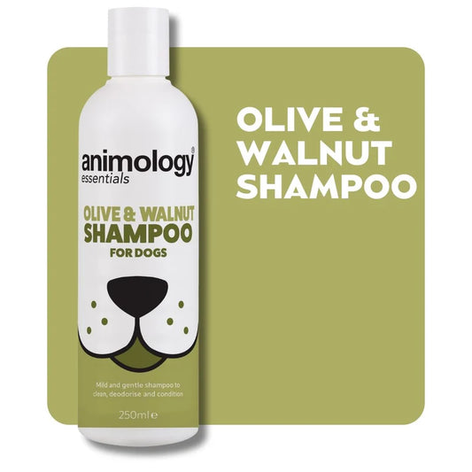 Olive and Walnut shampoo
