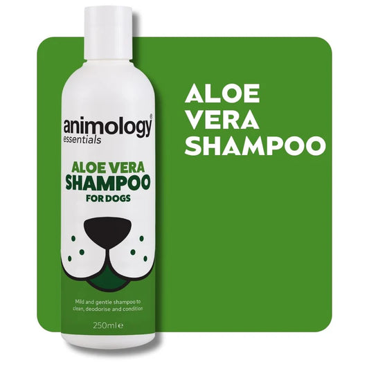 Aloe Vera shampoo
