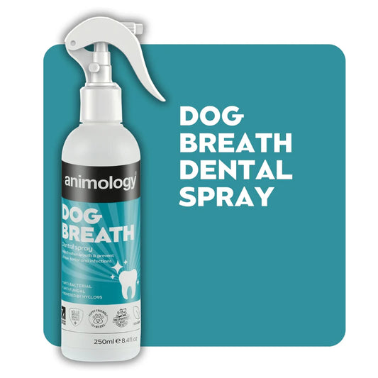 Dog breath spray