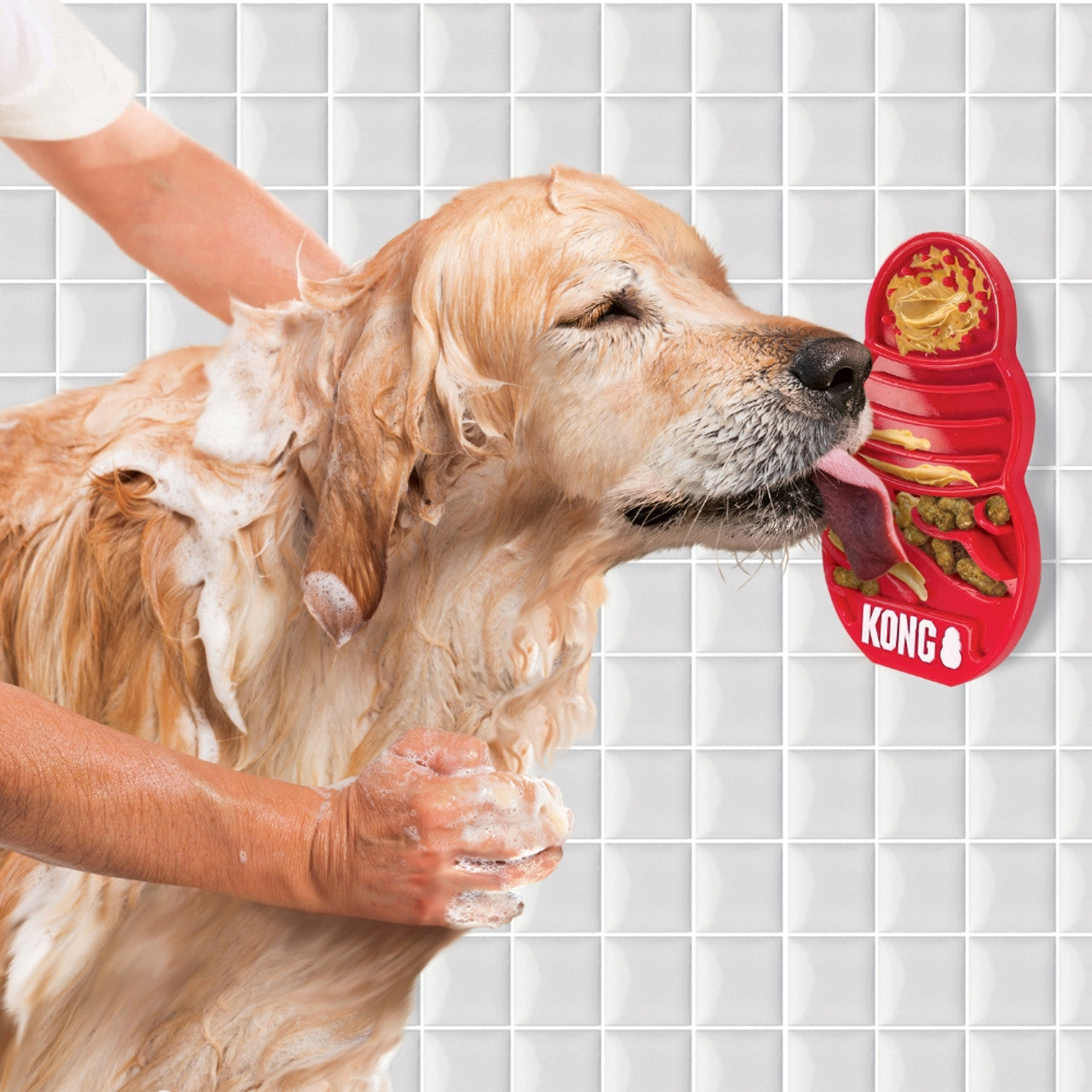 Kong licks