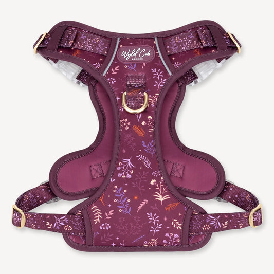 Chiswick Fig - Step & Switch harness