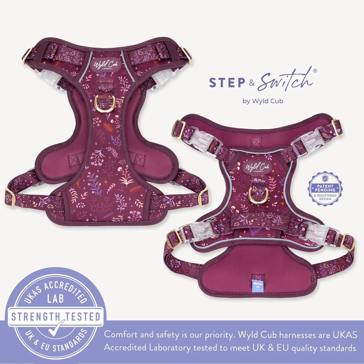 Chiswick Fig - Step & Switch harness
