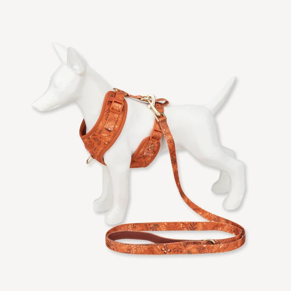 Chiswick Ginger Adjustable Harness