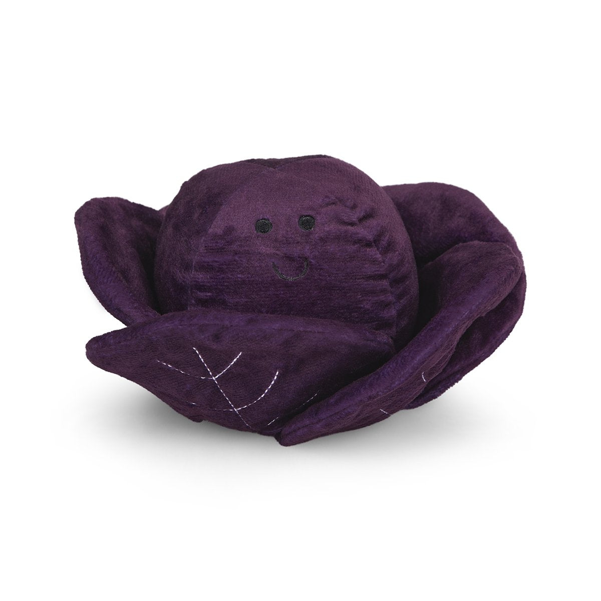 Foodie Faces Red Cabbage