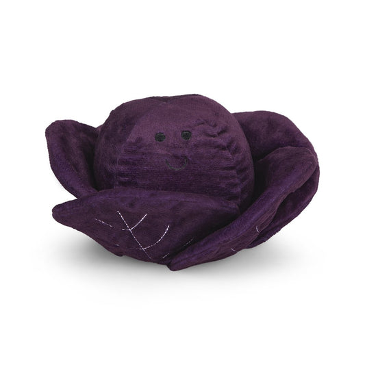 Foodie Faces Red Cabbage