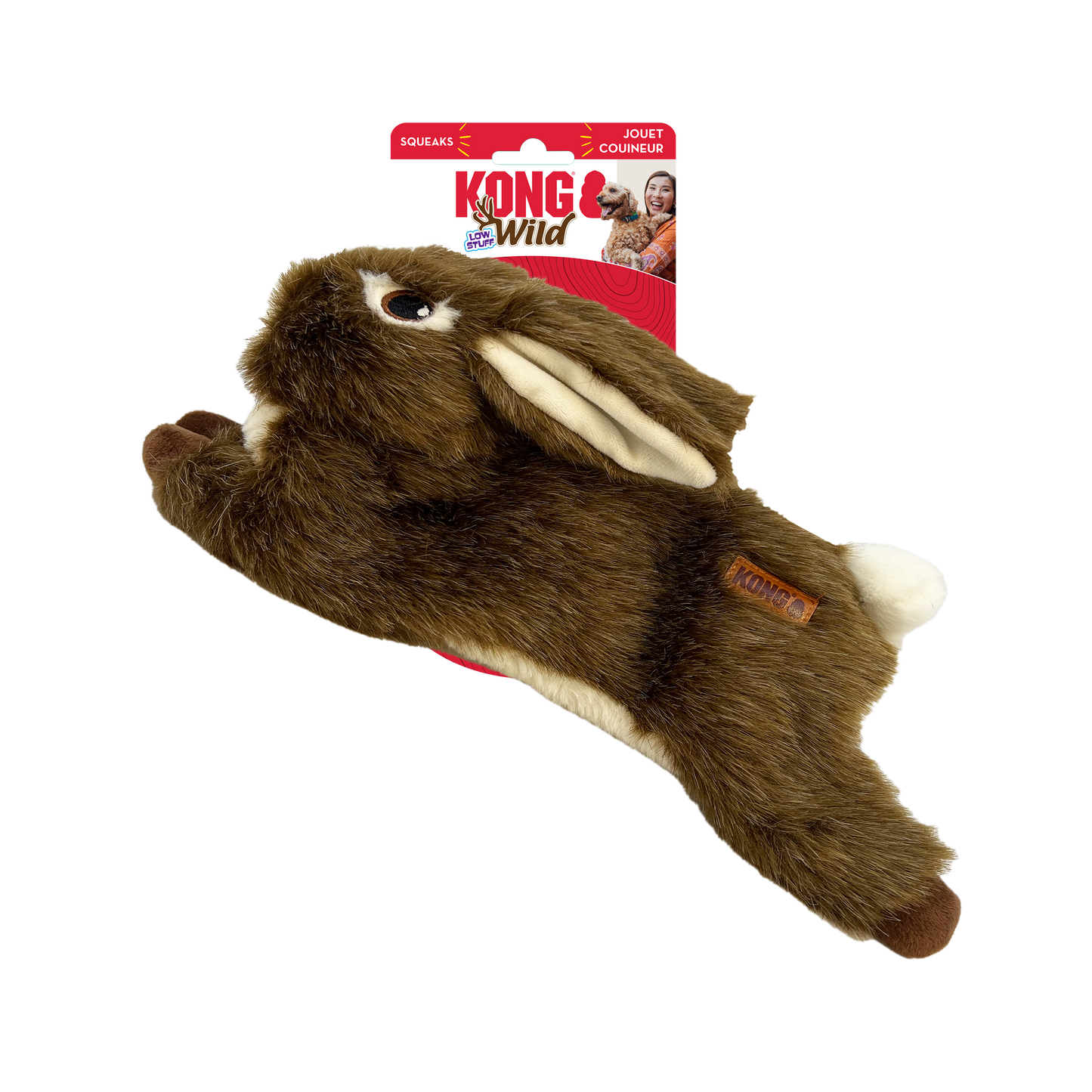 Kong wild rabbit