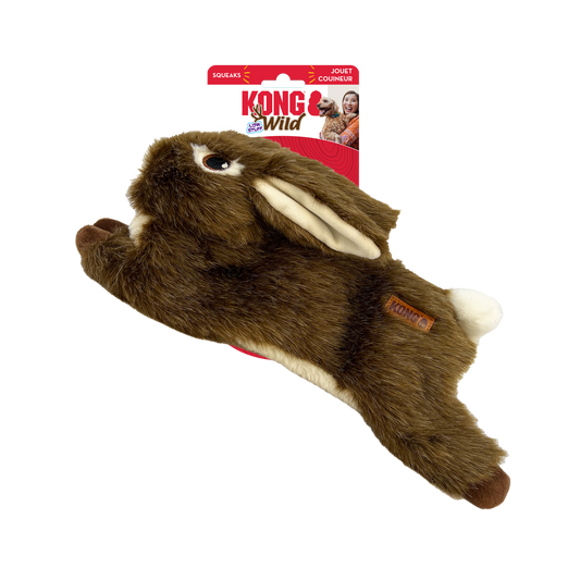 Kong wild rabbit