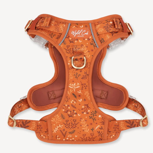 Chiswick Ginger step and switch harness