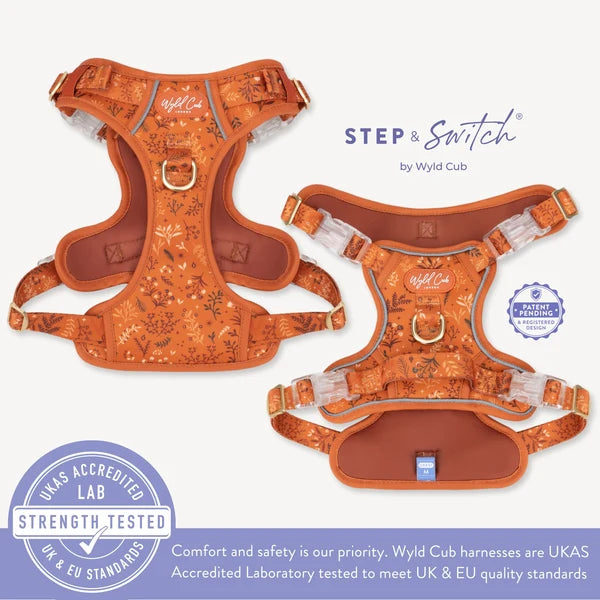 Chiswick Ginger step and switch harness