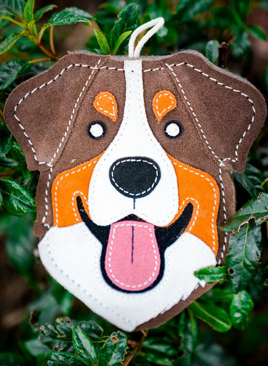 Myah the Bernese eco dog toy