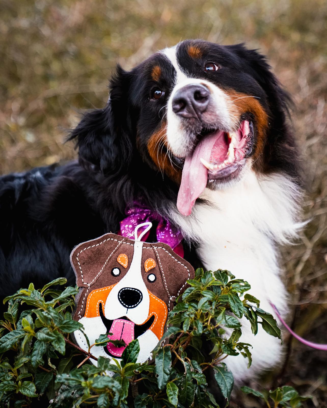 Myah the Bernese eco dog toy
