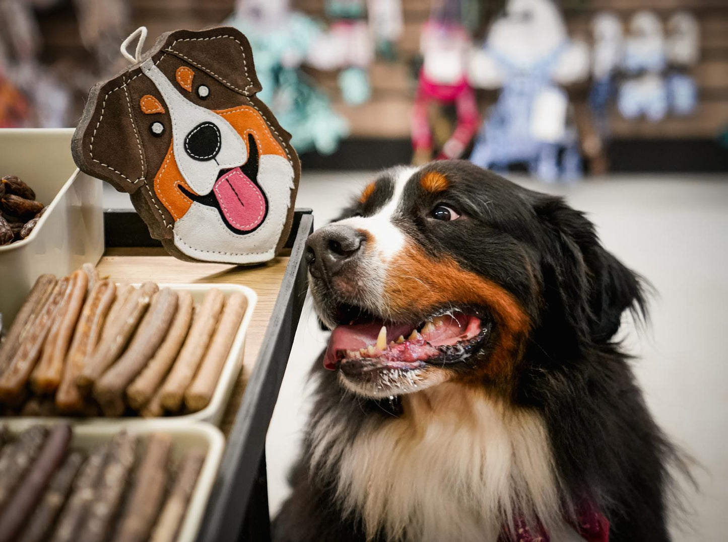 Myah the Bernese eco dog toy