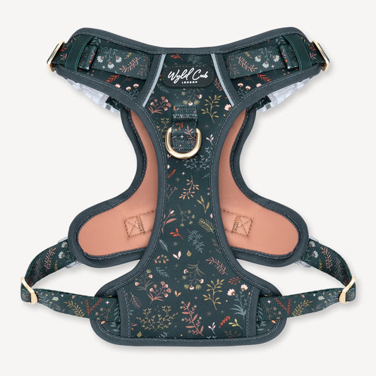 Ravenwood step and switch harness