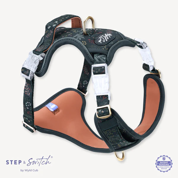 Ravenwood step and switch harness