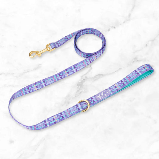 Belgravia Sugarplum - lead