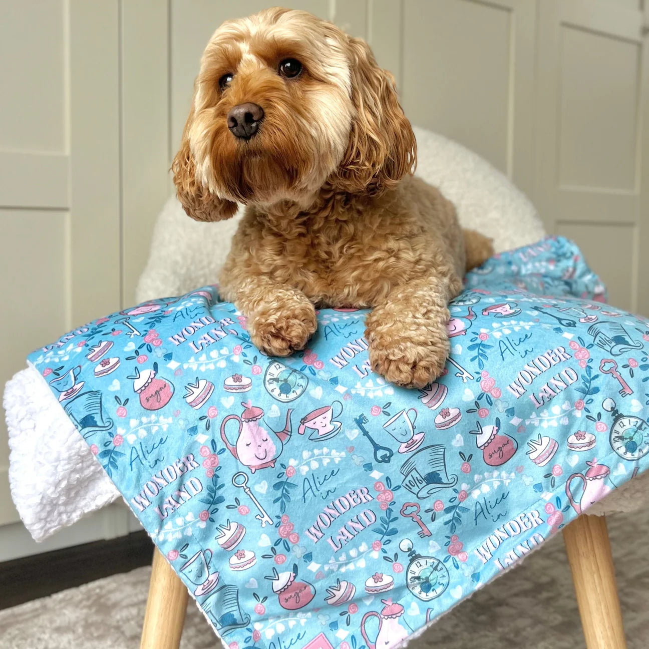 Disney-Mad Hatters Tea Party- dog blanket