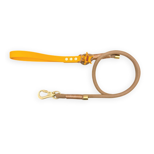 Disney- Woody-rope lead