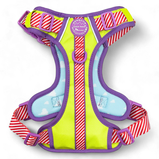 Disney-Buzz Lightyear-harness