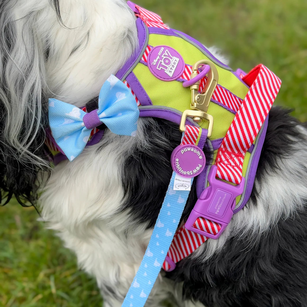 Disney- Buzz Lightyear- bow tie