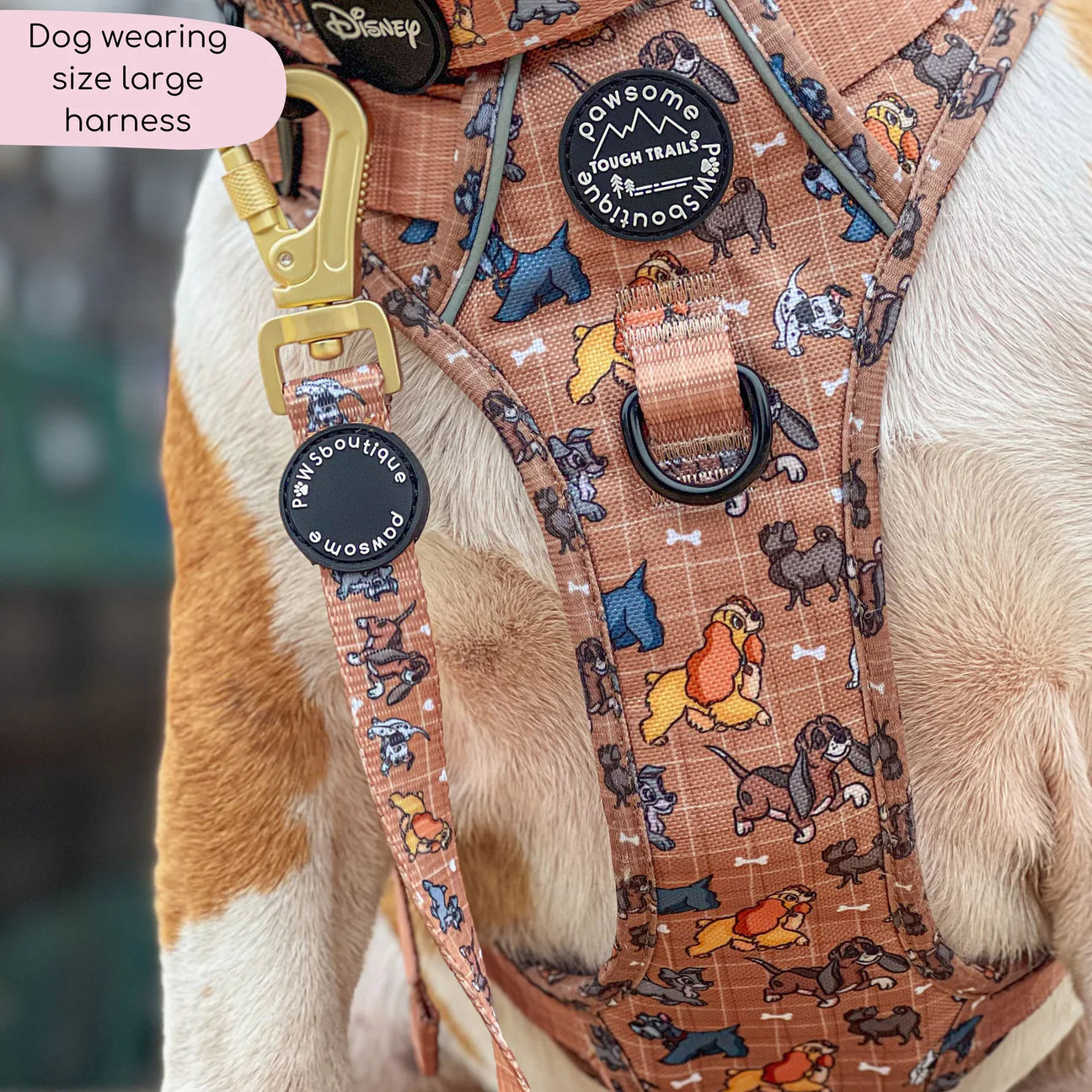 Disney- Dogs -harness