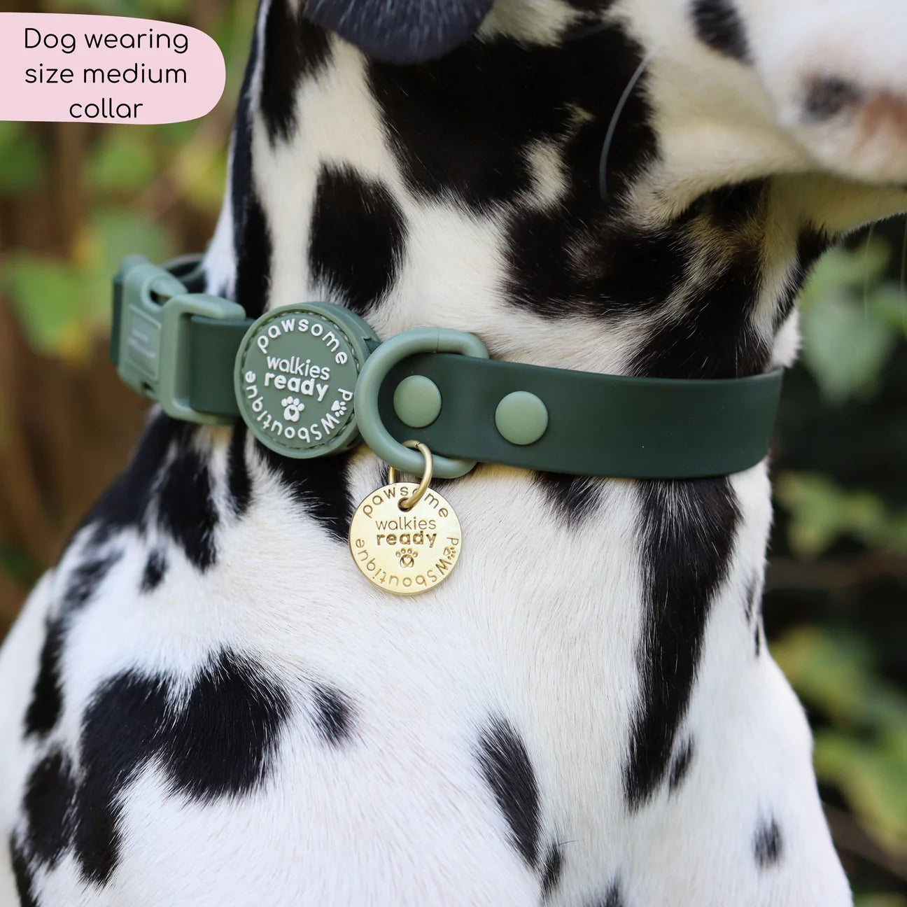 Waterproof collar- Forest green