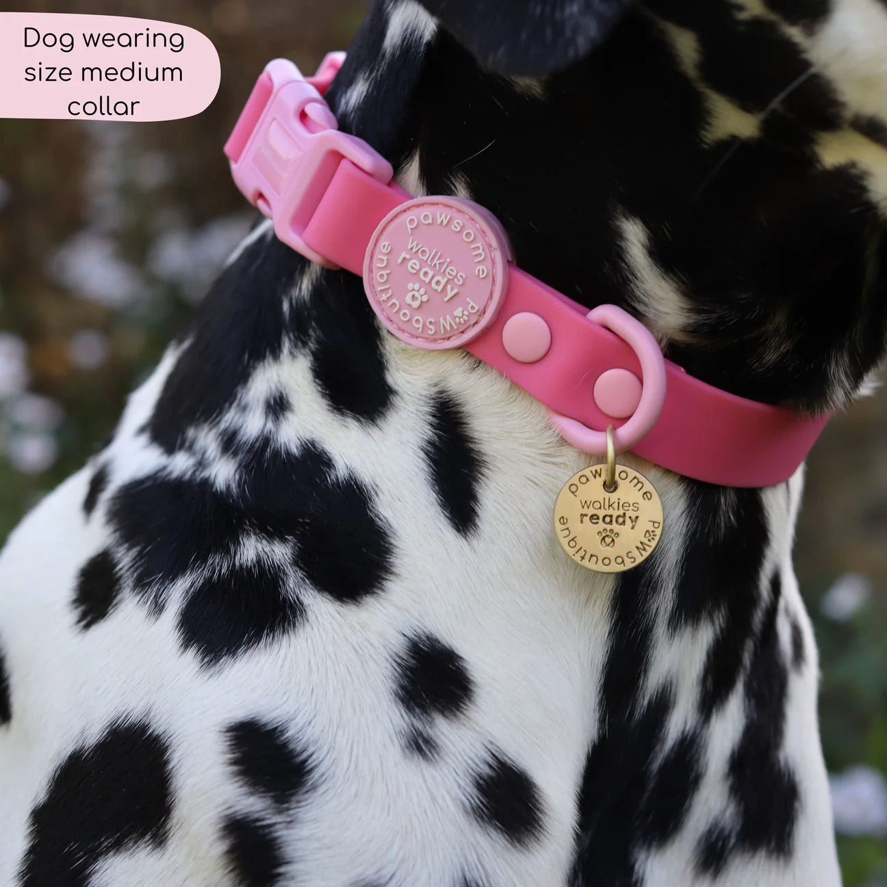Waterproof collar- Raspberry pink