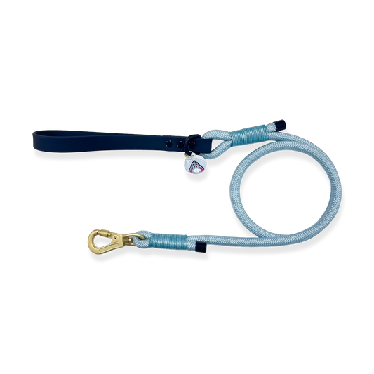 Disney- Eeyore rope lead