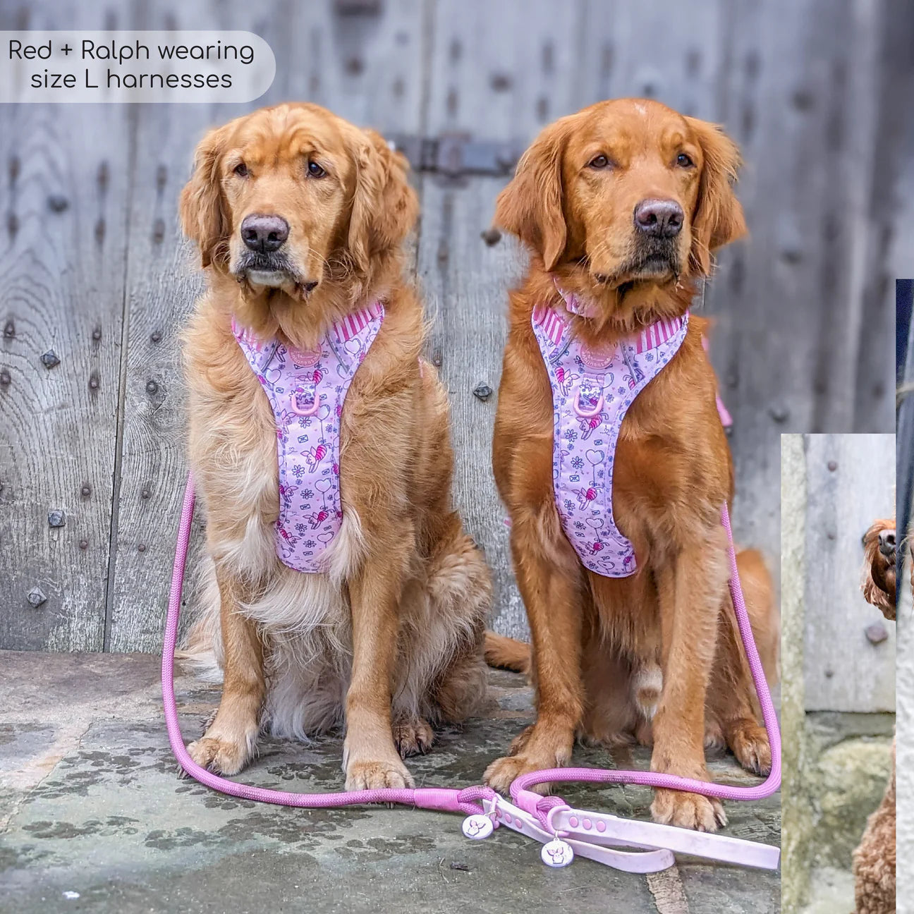 Disney- Piglet rope lead