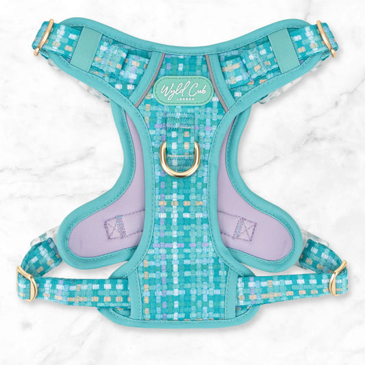 Belgravia Sweetpea Step and switch harness