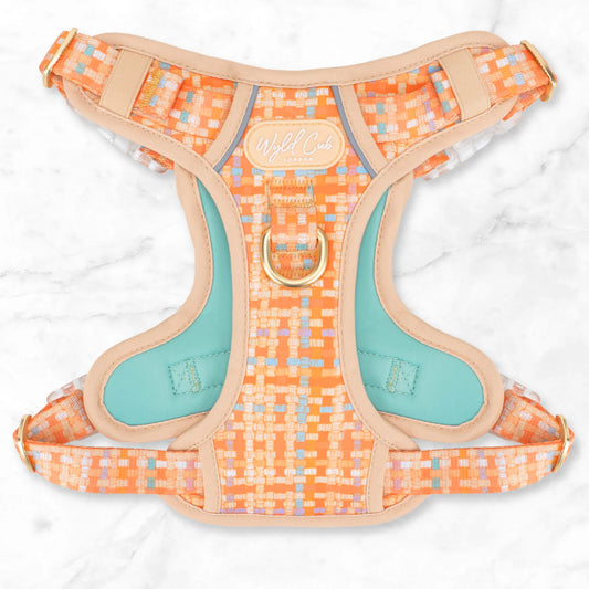 Belgravia Sorbet Step and switch harness