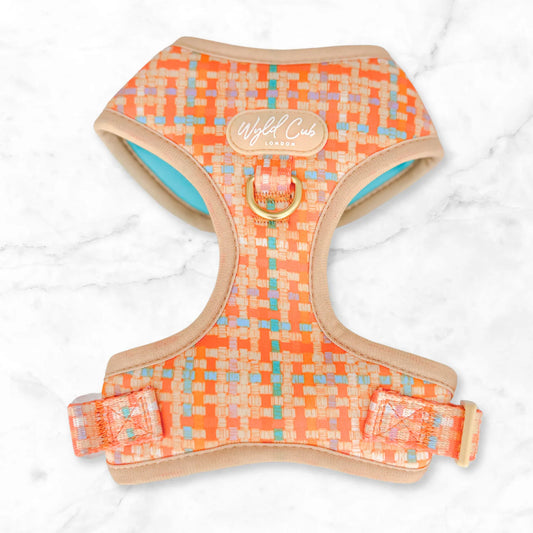Belgravia Sorbet Adjustable harness