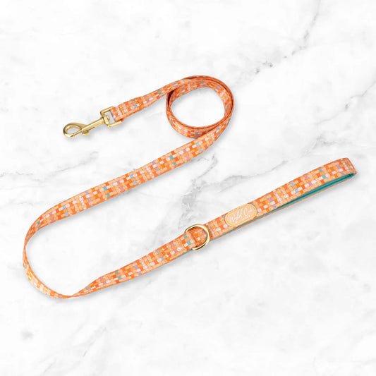 Belgravia Sorbet Lead
