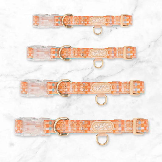 Belgravia Sorbet Collar