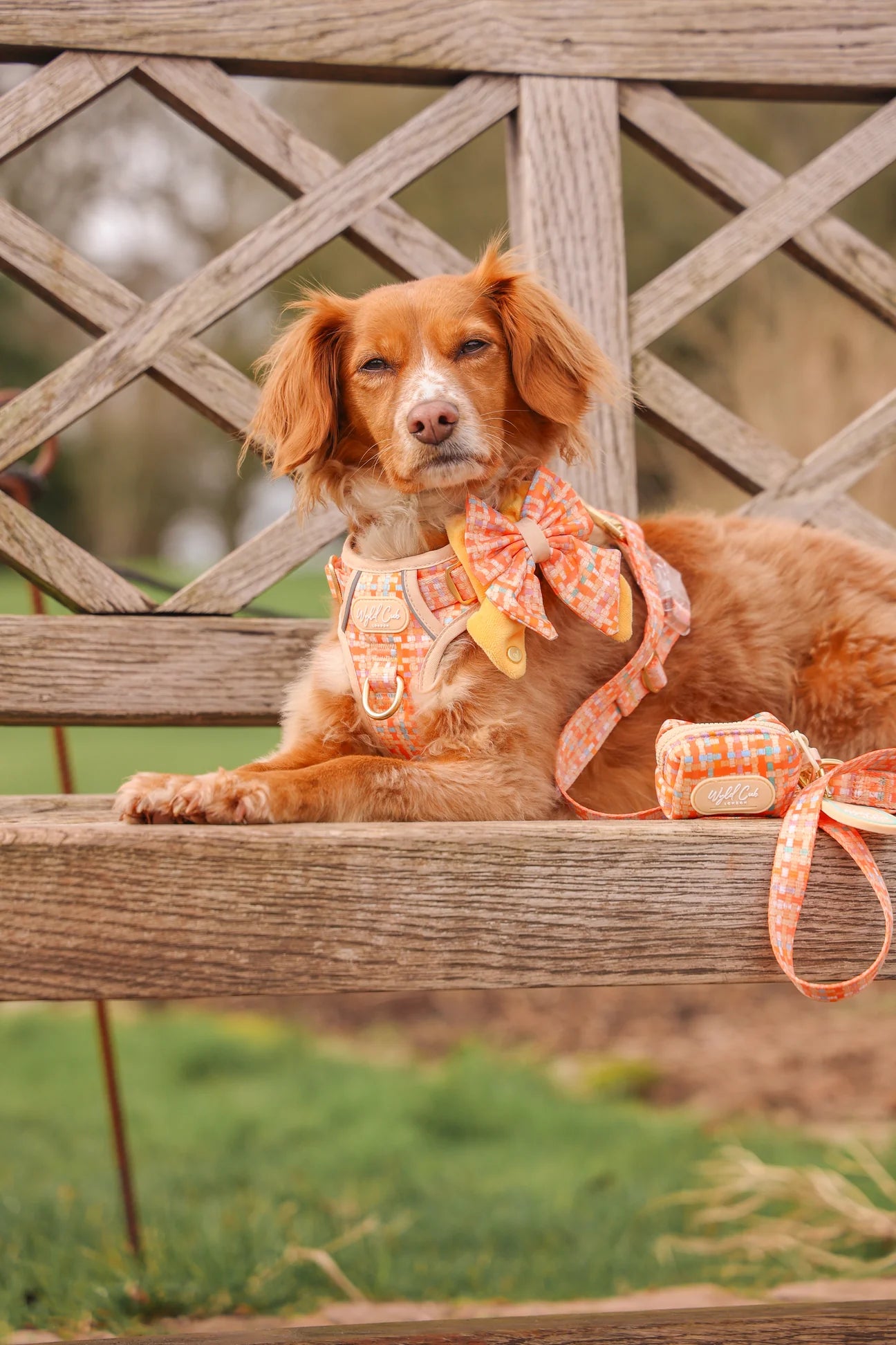 Belgravia Sorbet poop bag holder