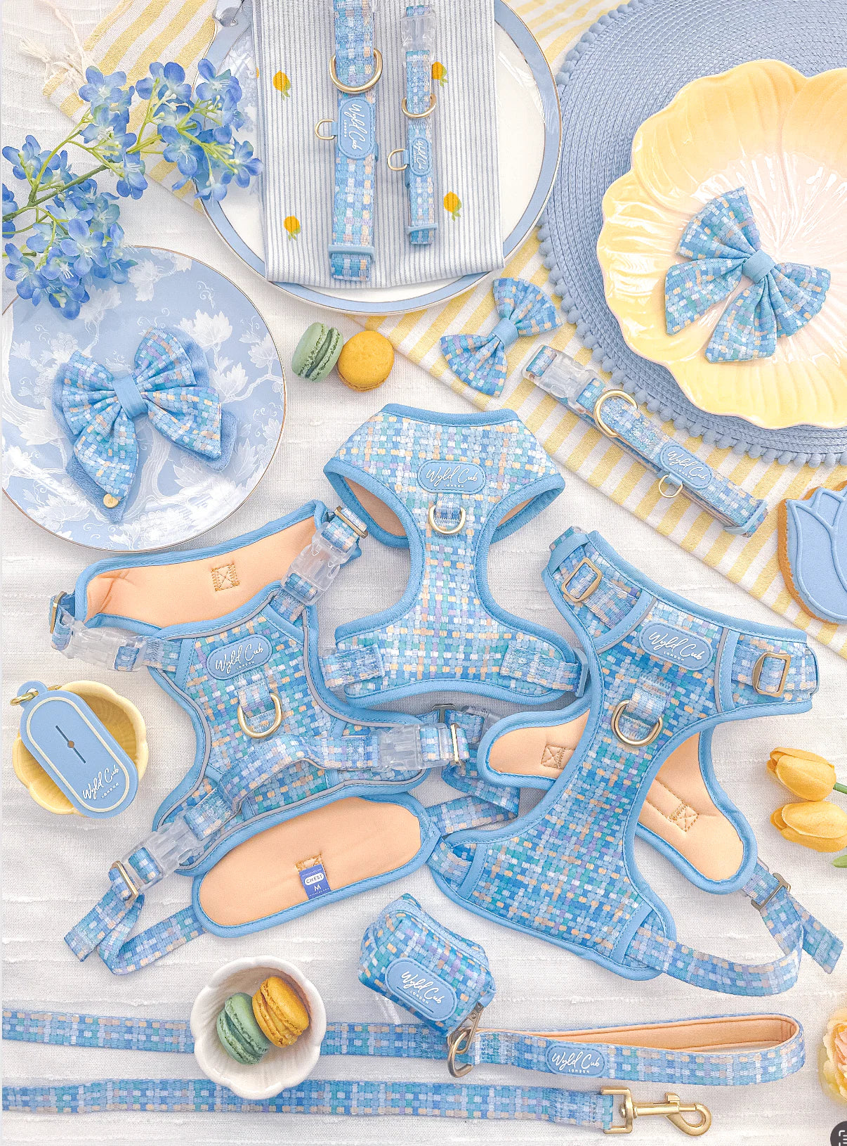 Belgravia Macaron Step and switch harness