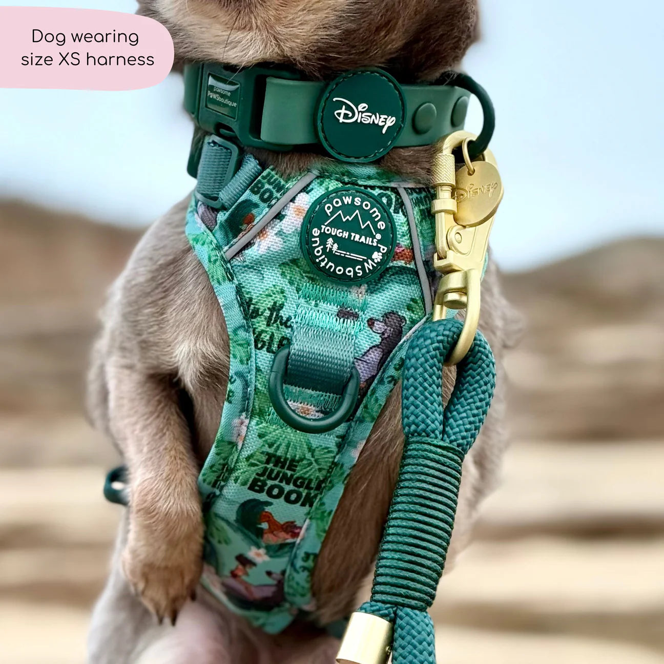 Disney harness- Jungle Book