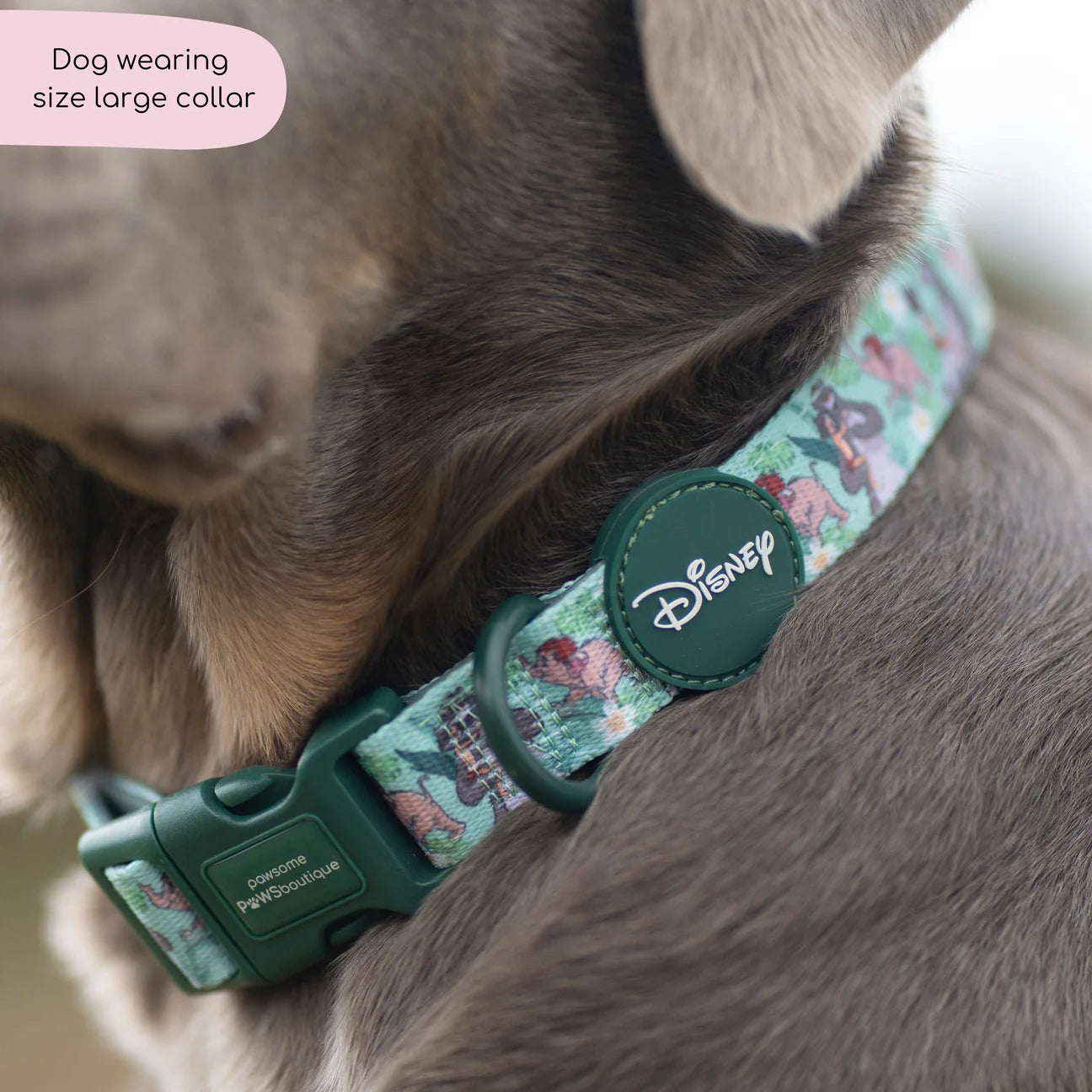 Disney collar- Jungle Book