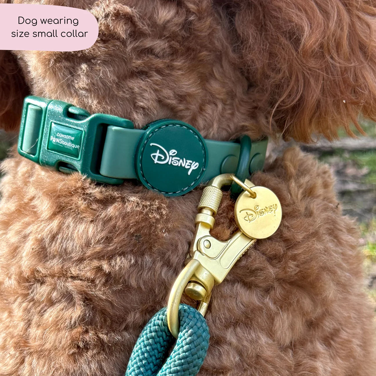 Disney waterproof collar- Jungle Book