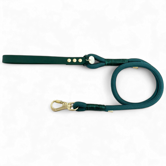 Disney rope lead- Jungle book