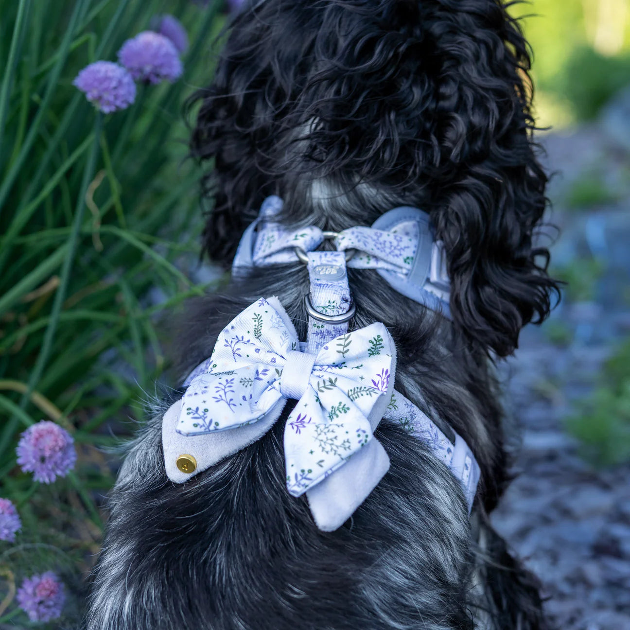 Chiswick Thistle butterfly bow